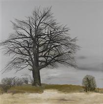 Wild Pear Tree - Stefan Caltia