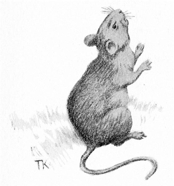 Mouse - Theodor Kittelsen