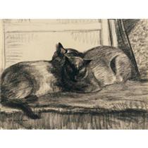 Cats Sleeping in the Studio - Theophile Steinlen