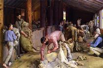 Shearing the Rams - Том Робертс