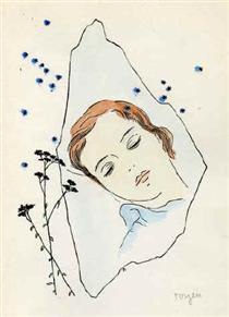 A Girl sleeping under the Stars - Toyen