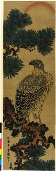 Kachoga. Falcon on a pine branch, rising sun above - 歌川豐重（豐國二代）
