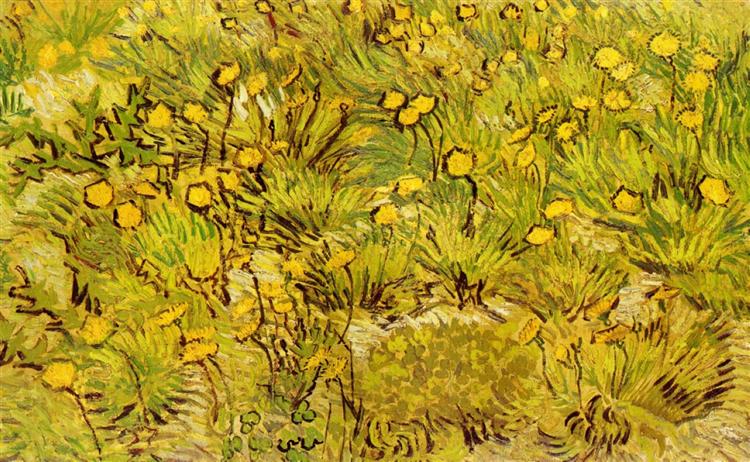 Поле із жовтими квітами, 1889 - Вінсент Ван Гог