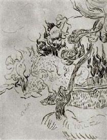 A Pine Tree and Cypresses in the Garden of the Asylum - Vincent van Gogh