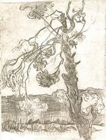 A Weather-Beaten Pine Tree - Vincent van Gogh