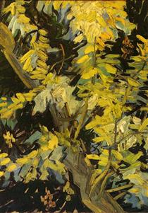 Blossoming Acacia Branches - Vincent van Gogh