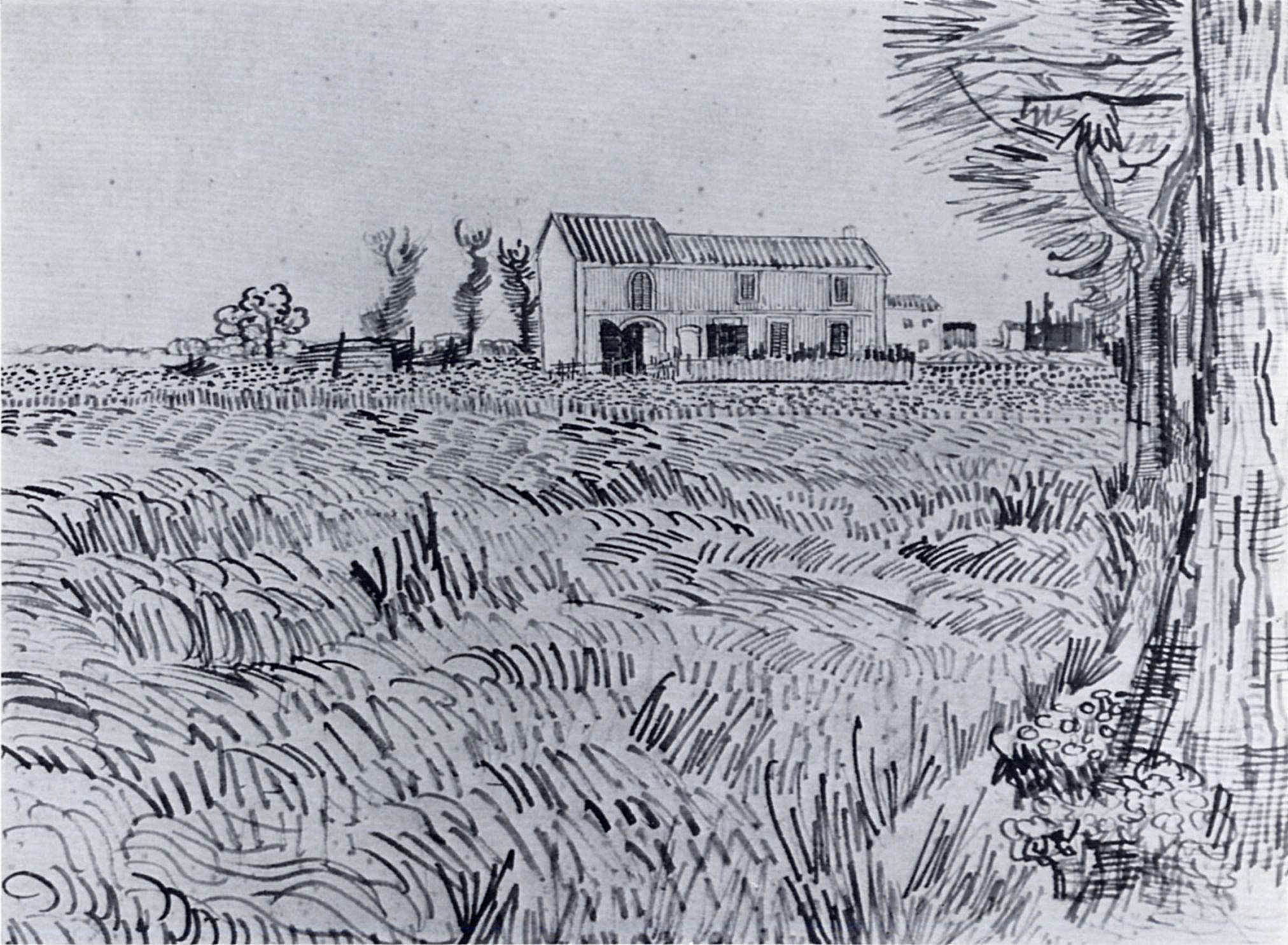 Farmhouse in a Wheat Field, 1888 Vincent van Gogh