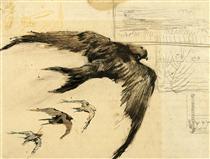 Four Swifts with Landscape Sketches - 梵谷