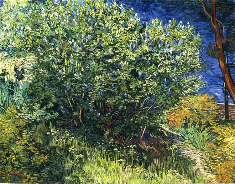 Lilac Bush, 1889 - Vincent van Gogh