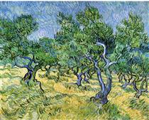 Olive Grove - Vincent van Gogh