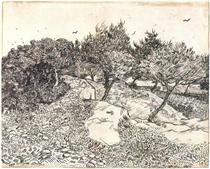 Olive Trees - Vincent van Gogh