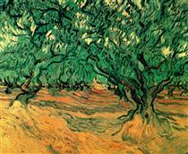 Olive Trees - Vincent van Gogh