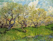 Orchard in Blossom - Vincent van Gogh