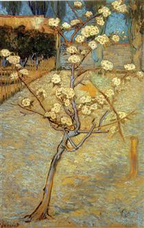 Pear Tree in Blossom - Винсент Ван Гог