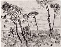 Pine Trees in Front of the Wall of the Asylum - Vincent van Gogh