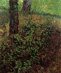 Undergrowth - Vincent van Gogh