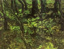 Undergrowth with Ivy - Vincent van Gogh
