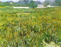 Wheat Field at Auvers with White House - Vincent van Gogh
