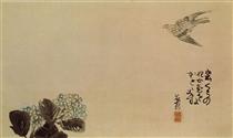 A little cuckoo across a hydrangea (Haiga) - 與謝蕪村