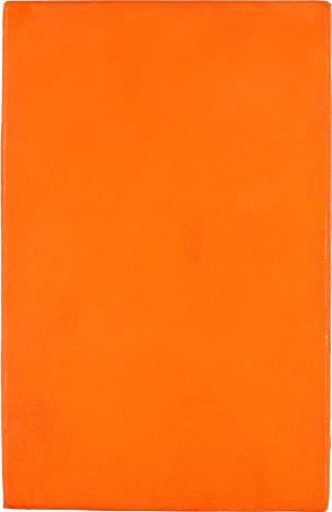 Untitled Orange Monochrome, 1956 - 伊夫·克莱因